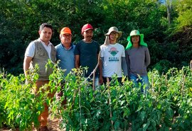 Instituto Irmã Dorothy abre seleção para técnicos em projeto; confira