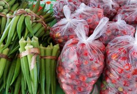 Nova edição da feira orgânica acontece nesta terça-feira (5)