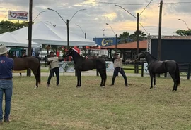 Expoalagoas Genética amplia negócios e reforça força do agro em Alagoas