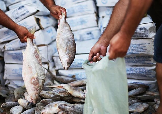 MP de AL investiga fraude na aquisição de peixes em Santana do Ipanema
