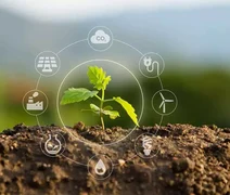 Sustentabilidade e retomada das parcerias internacionais aumentam perspectivas do agro brasileiro