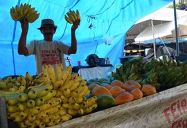 Produtos da reforma agrária são comercializados na praça da Faculdade