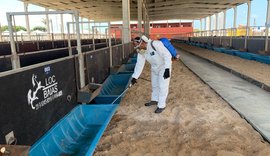 Expoagro: Parque da Pecuária começa a receber animais nesta segunda-feira (21)