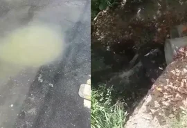 “O rio está praticamente morto”, diz morador ao denunciar despejo contínuo de esgoto em Jacarecica