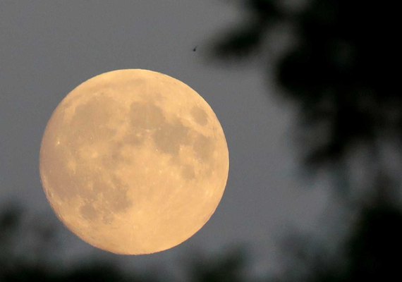 Eclipse da lunar mais longo do século acontece hoje; próximo só em 2100