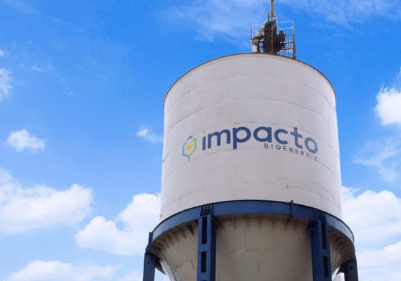 Impacto inicia a safra 22/23