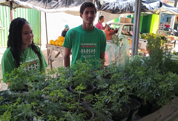 Jovens da Cooperativa Pindorama apresentam produção agrícola e destacam impacto de formação rural