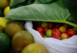 Registro de novos agrotóxicos segue em alta no Brasil, diz Mapa