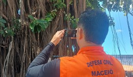 Defesa Civil avalia saúde das árvores em praças de Maceió com tecnologia