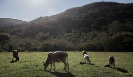 Começa hoje prazo para entrega da declaração de propriedade rural