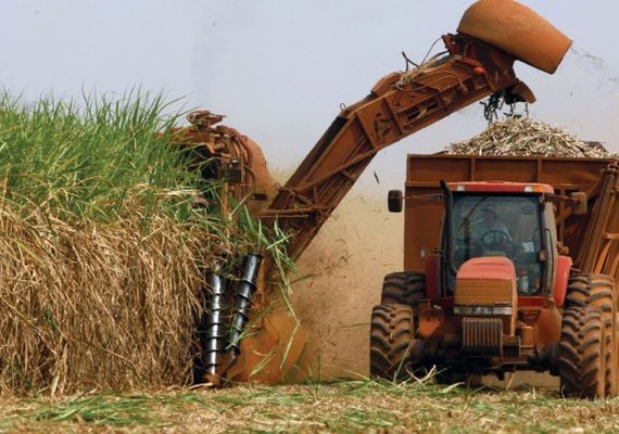 Produção de açúcar do Norte e Nordeste é 4,5% maior que safra anterior