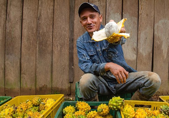 FAO e Brasil lançam curso gratuito sobre sistemas agroalimentares urbanos