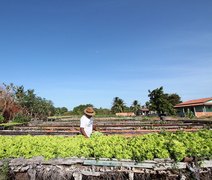 Desenrola Rural pode beneficiar mais de 360 mil agricultores atendidos pelo Banco do Nordeste