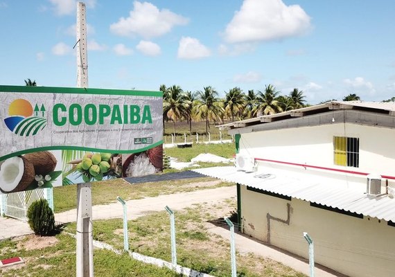 Coopaiba mantém ritmo industrial e estoque de 50 toneladas em Piaçabuçu