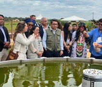 Tecnofam 2026 supera 7 mil visitas e fortalece agricultura familiar