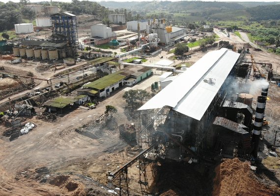 Sindaçúcar-AL mantém expectativa de moagem superior a 19 mi de toneladas de cana