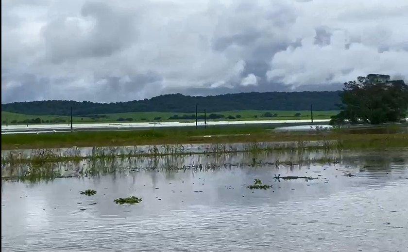 Estima-se perda de 40 mil toneladas de cana em Alagoas devido às chuvas
