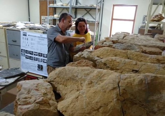 Cientistas descobrem em AL fóssil de peixe de 130 milhões de anos