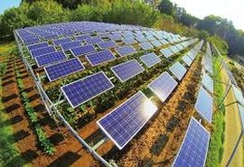 CI aprova benefício na conta de luz para agricultor familiar com painel solar