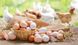 Proteínas animais encerram julho com cenários distintos no mercado brasileiro