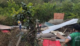 Pocilga é demolida por funcionamento irregular no São Jorge, em Maceió