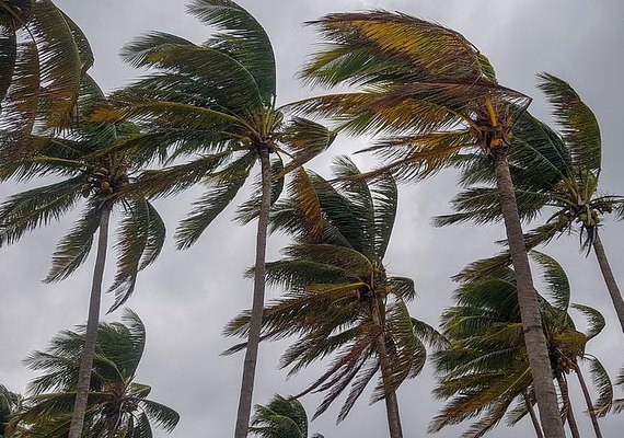 Inmet emite alerta de vendaval para 51 municípios alagoanos nesta quarta-feira (11)