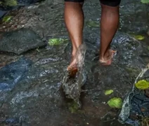 Maceió reforça alerta sobre leptospirose durante período chuvoso