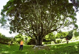 Circuito promove imersão artística em meio à natureza em Maceió
