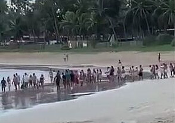 Instituto do Meio Ambiente diz que festa na Praia do Marceneiro também infringiu leis ambientais