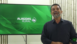 Assista ao Alagoas Rural na íntegra 11-01-26
