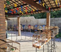 Alagoas registra redução de 47% nos crimes de cativeiro ilegal de animais silvestres em 2025