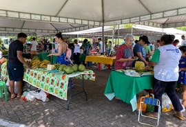 Feira Sustentável retorna neste domingo com produtos da agricultura familiar