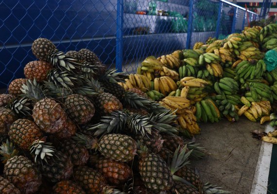 Agricultores familiares têm até o dia 21 de outubro para apresentar documentação da chamada pública
