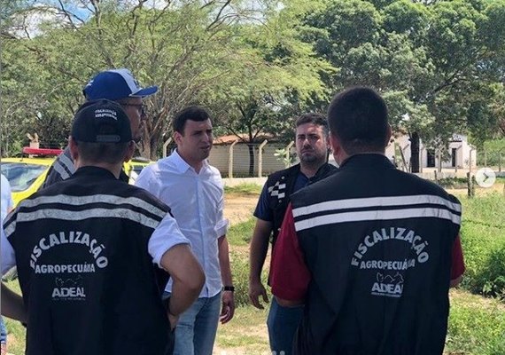 Adeal tenta conter abate clandestino