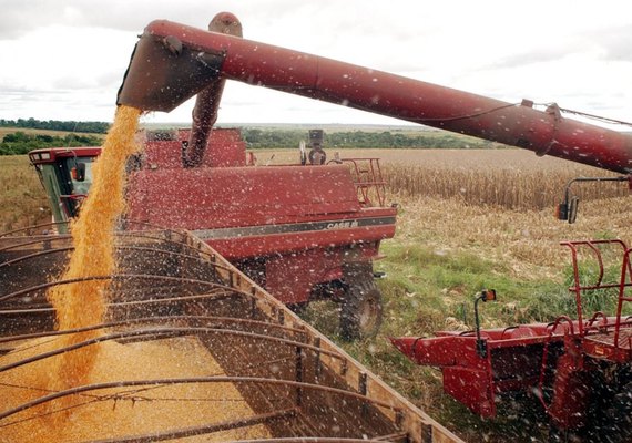 Produção de grãos deve alcançar 235,3 milhões de toneladas, diz Conab