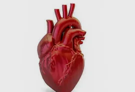 Doenças cardiovasculares matam 400 mil brasileiros por ano