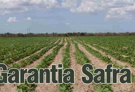 Garantia-Safra já injetou R$ 8,3 milhões em Alagoas este ano