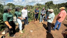 Sistema Faeal leva ação de cidadania rural a produtores de Belém