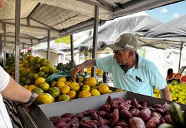 Circuito Regional de Feiras da Agricultura Familiar ganha novo formato em 2026