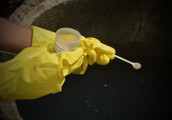 Sesau promove ação para o Dia D Nacional de Combate à Dengue neste sábado (2)