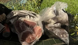 Funcionário é preso após furtar carnes em hotel da Cruz das Almas