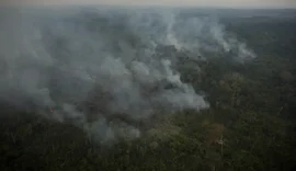 Risco de incêndio fecha 80 Unidades de Conservação em São Paulo