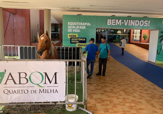 Cavalos Quarto de Milha auxiliam paratletas a desenvolver habilidades em esportes equestres