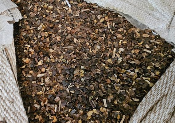 Fiscalização apreende mais de 21 toneladas de café irregular em compras públicas no Paraná