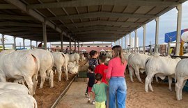 “Expoagro-AL estará no centro do agronegócio brasileiro”, aponta presidente da Agreste Leilões