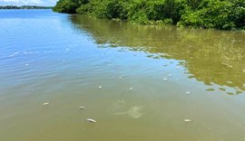 MPF investiga mortandade de peixes no rio Santo Antônio; veja o vídeo