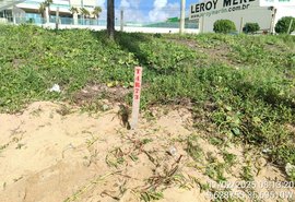 Vídeo: em risco de extinção, tartaruga-de-pente desova em praia de Cruz das Almas, em Maceió