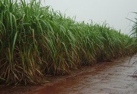 Quantidade de chuva em fevereiro fica abaixo da média