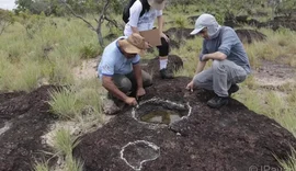 Pesquisadores encontram pegadas de dinossauros com mais de 100 milhões de anos em Roraima