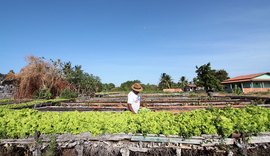 Desenrola Rural pode beneficiar mais de 360 mil agricultores atendidos pelo Banco do Nordeste